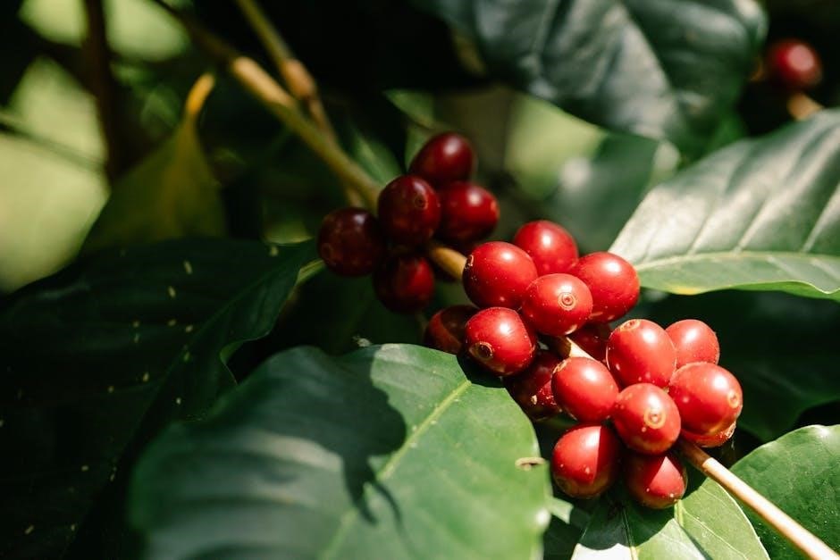 bioadvanced tree and shrub protect and feed instructions