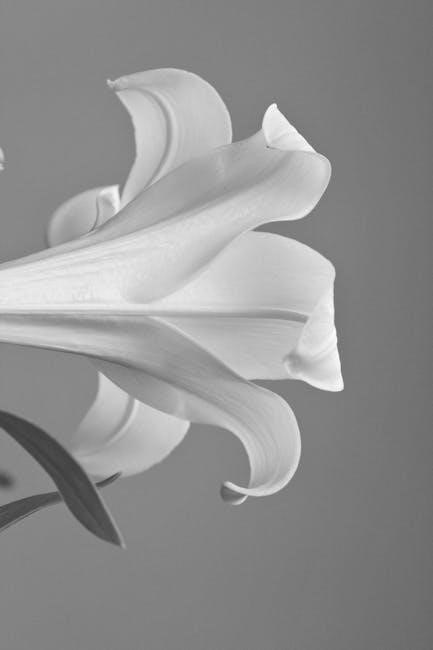 casl-2 subtest descriptions pdf